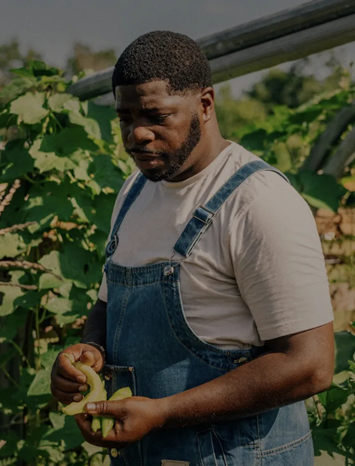 Jeremy Peaches, Owner