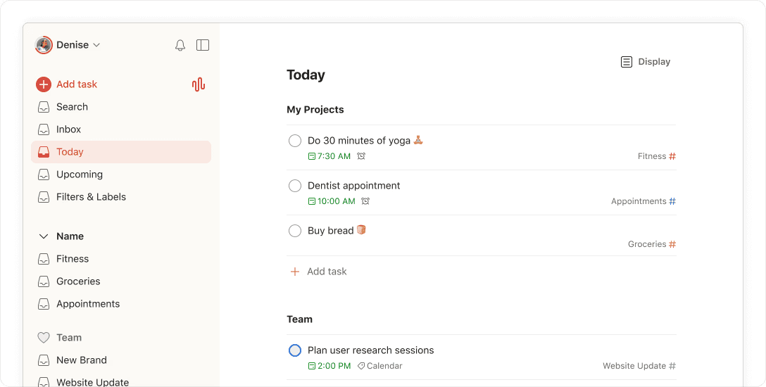 Todoist task management overview showing employees and their assigned tasks.